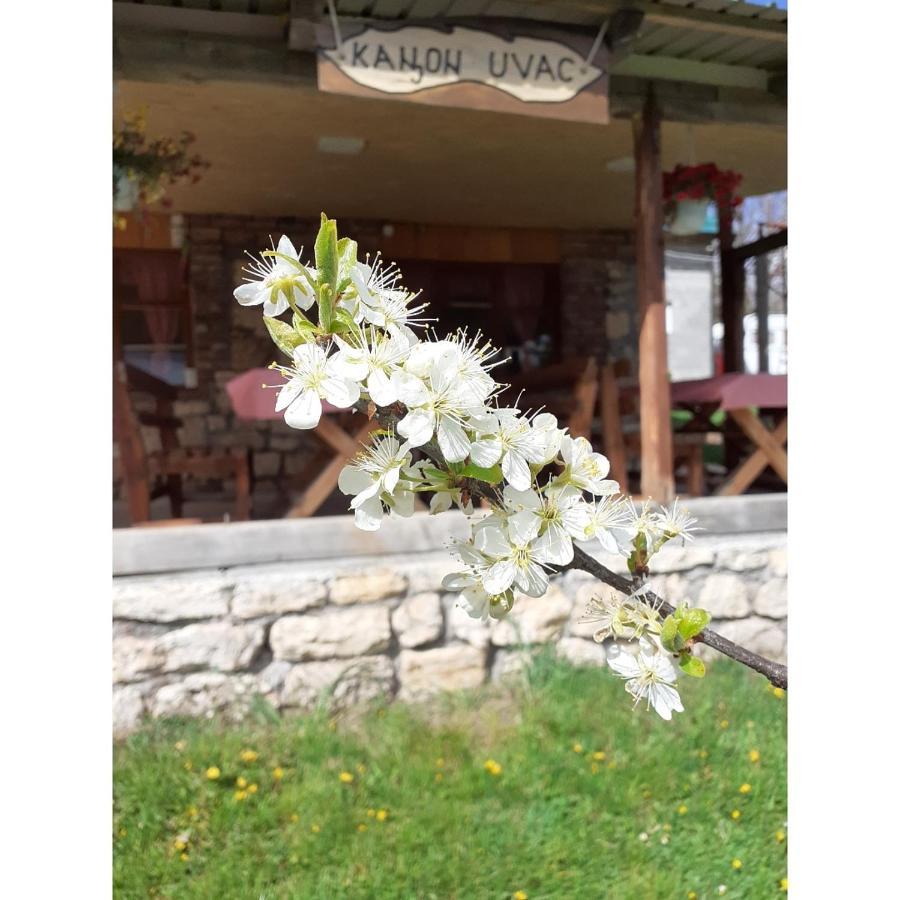 Kanjon Uvac Sjenica Exterior foto